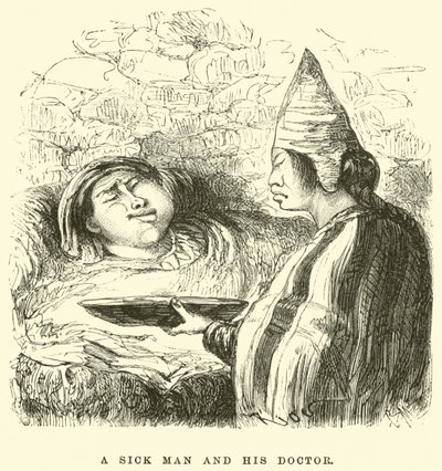 A Sick Man and His Doctor by Edouard Riou